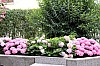 avant_0018.JPG avant_0018.JPG