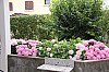 z_apres0015.jpg z_apres0015.jpg