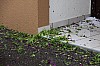 z_apres0023.jpg z_apres0023.jpg