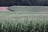 z_apres0030.jpg z_apres0030.jpg