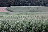 z_apres0031.jpg z_apres0031.jpg