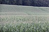 z_apres0032.jpg z_apres0032.jpg