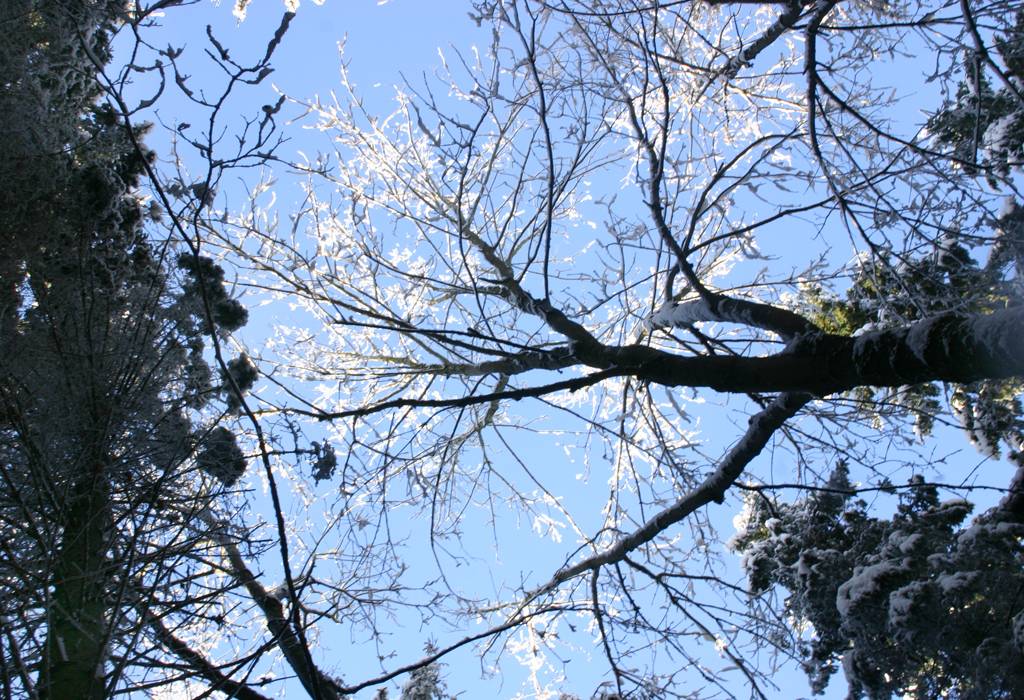 froid_021_RT8.jpg