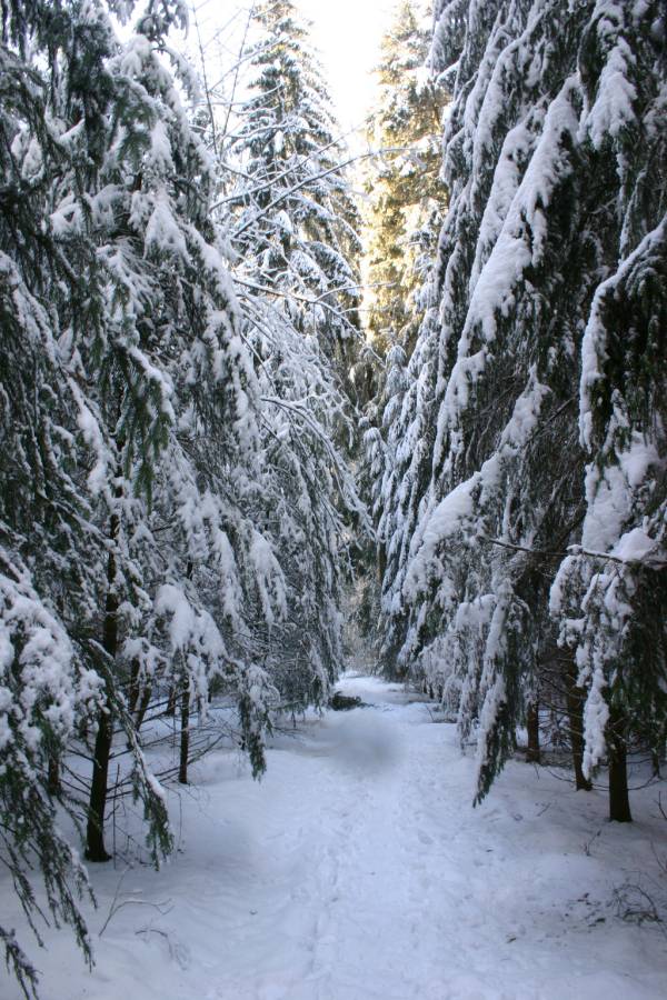 froid_023_RT8.jpg