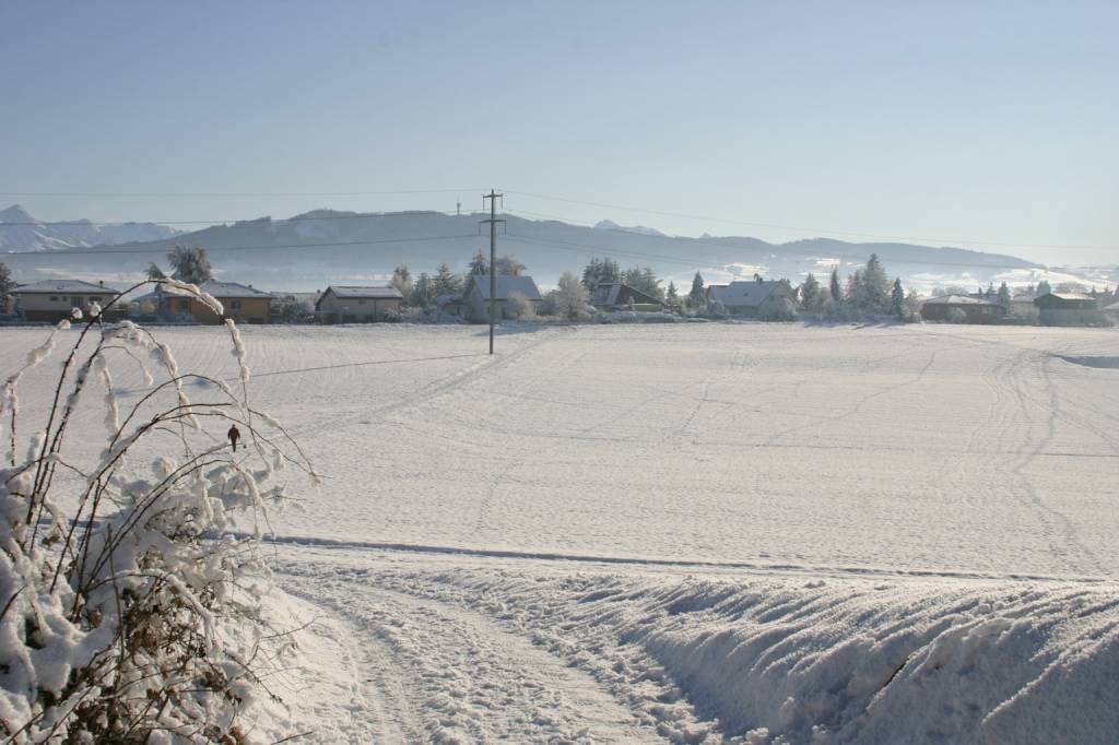 froid_031_RT8.jpg