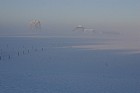 froid_004_RT8.jpg
