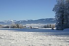 froid_017_RT8.jpg