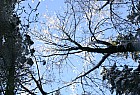 froid_021_RT8.jpg