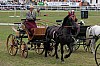 IMG_1674.jpg