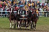 IMG_1722.jpg