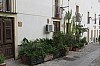 sicile_12.jpg sicile_12.jpg
