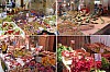 sicile_8.jpg sicile_8.jpg